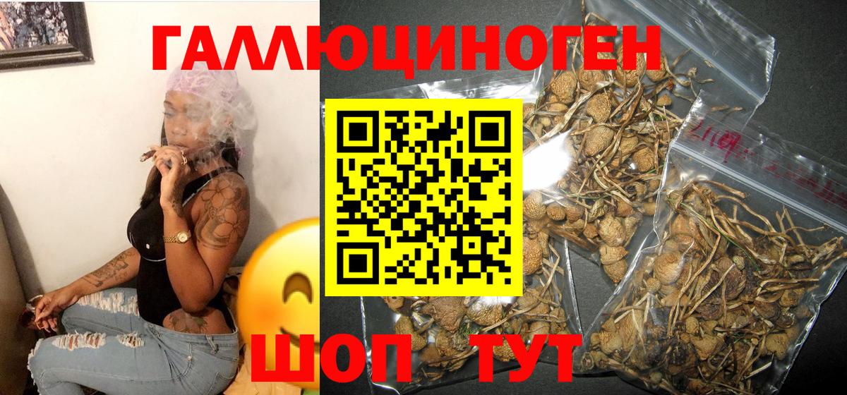 Ростов-на-Дону  Псилоцибиновые грибы Cubensis  где продают   Псилоцибиновые грибы мицелий  Вход с VPN 