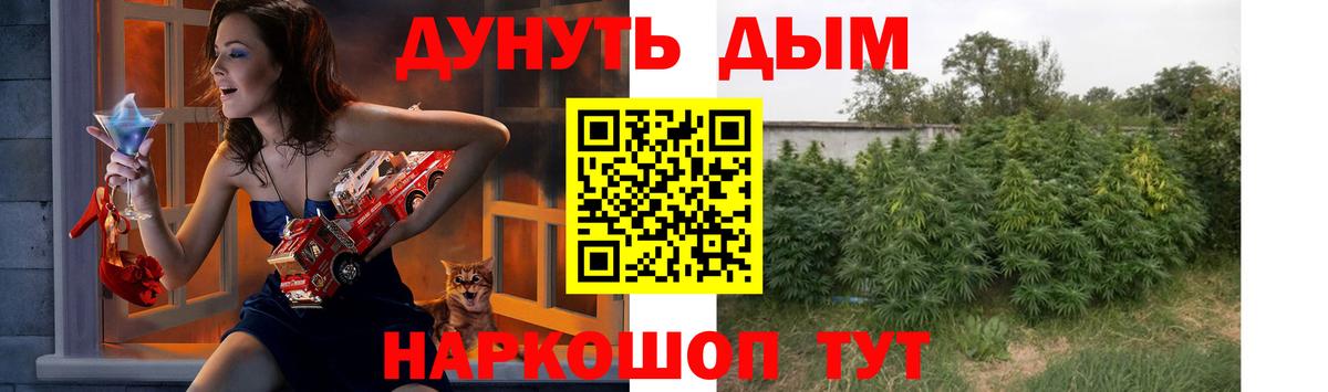 Бошки Шишки семена Ростов-на-Дону